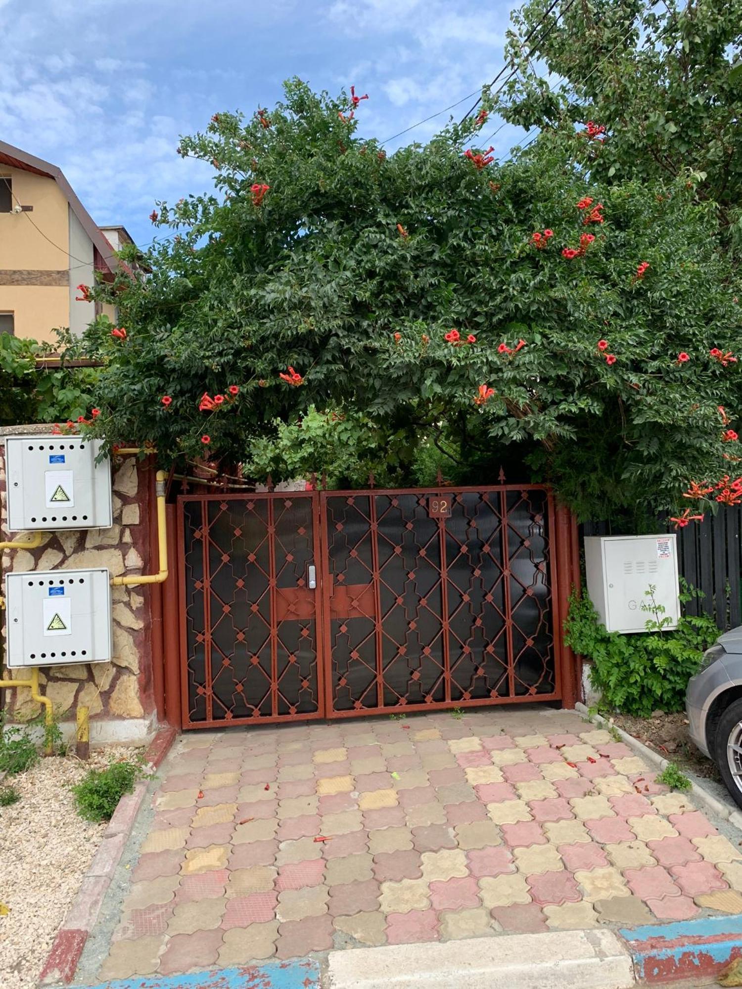 Steaua Nordului Gasthof Costinești
